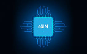 ESIM (1YR SUB)